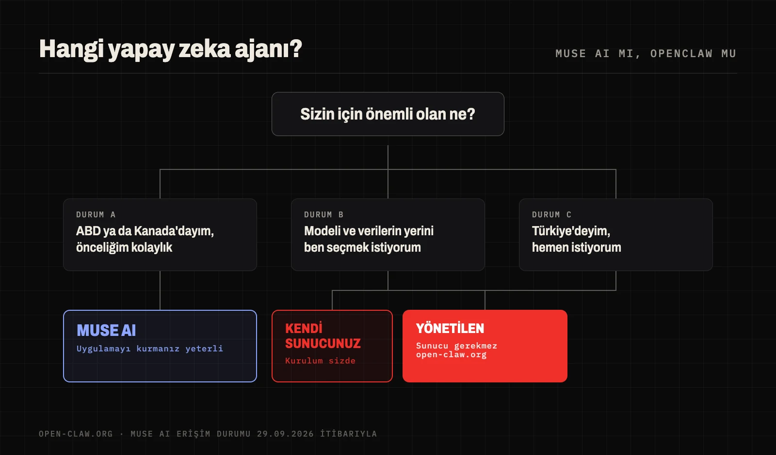 Seçim rehberi: ABD ya da Kanada'daysanız ve kolaylık önceliğinizse Muse AI; model ve veri kontrolü istiyorsanız ya da Türkiye'deyseniz OpenClaw; sunucusuz kullanım için yönetilen OpenClaw