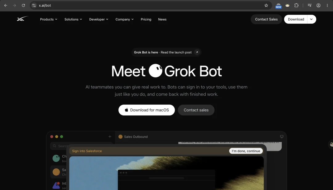 The x.ai/bot page, "Meet Grok Bot: AI teammates you can give real work to", which dot.com now redirects to